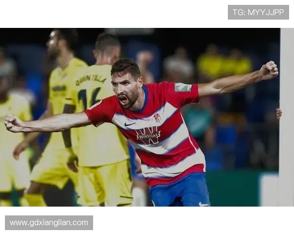 西甲联赛个人进球记录与赛季表现总结