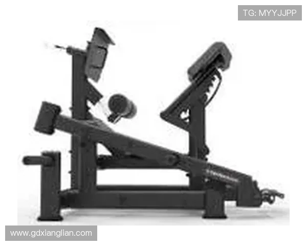 高端家用健身设备代理:瞄准品质家庭精准拓客