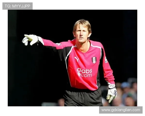 2011年英超最佳球员荣誉得主及其赛季表现回顾