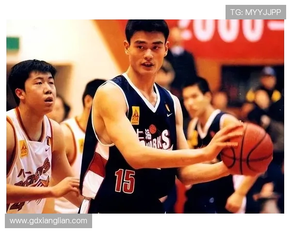 NBA火箭队姚明退役后的球队变化及发展分析 NBA火箭队姚明退役后的球队变化及发展分析