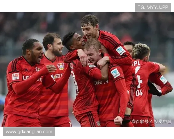 德甲哪些球队拥有最多球迷群体的分析报告