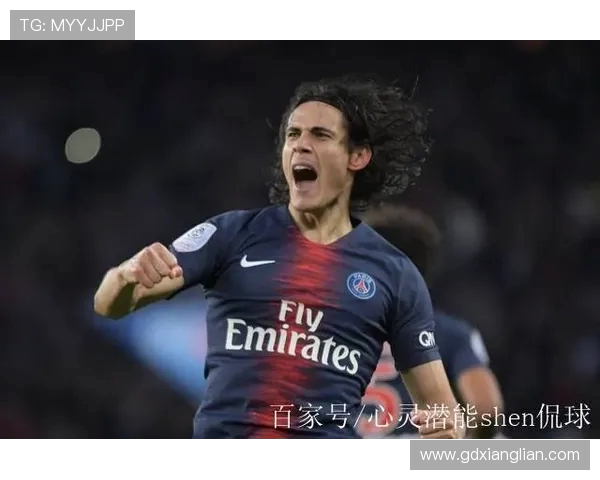 法甲球员年龄分析及体育竞技发展潜力